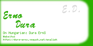erno dura business card